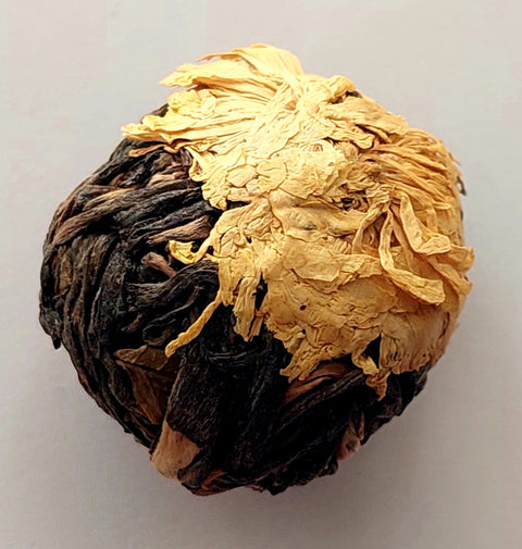 Pu Err Ball chrysantheme Sonnenschein