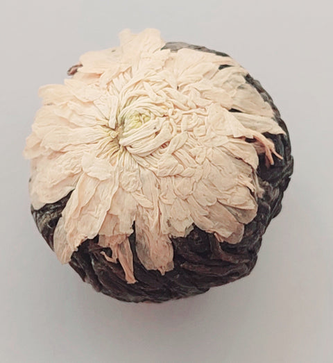 Pu Err Ball Chrysantheme Scghneeball