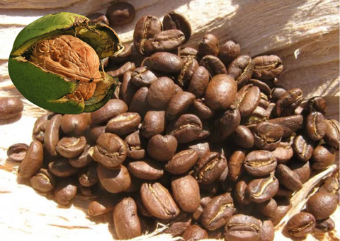 Kaffee Walnuss- Sahne