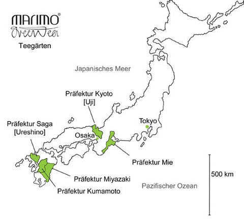 Yanagicha Bancha Frühlingstee