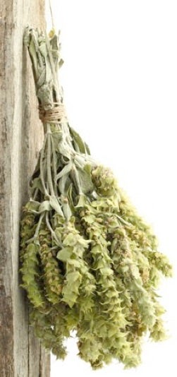 Bergtee Griechenland BIO